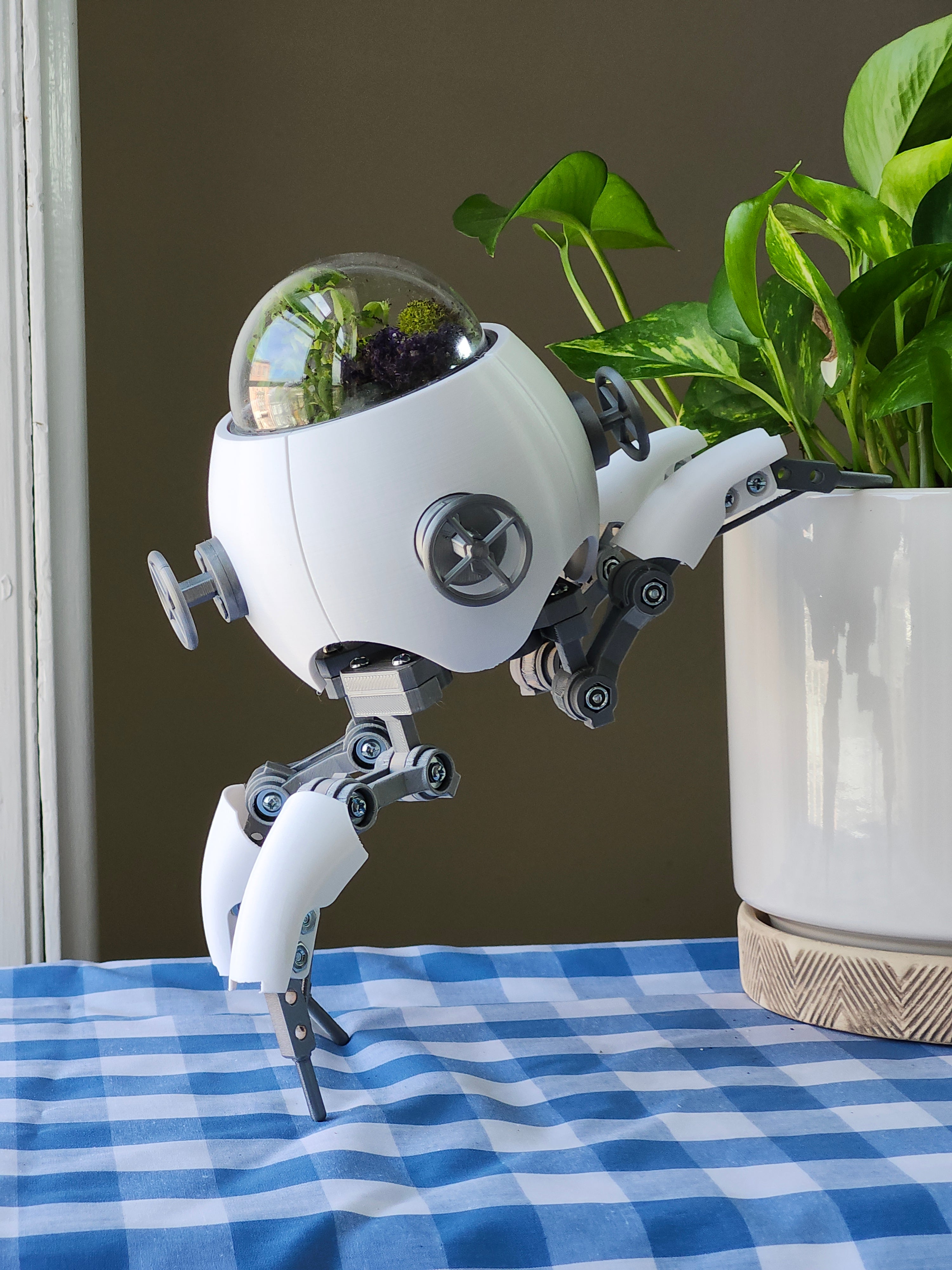 Terrarium Bot 2