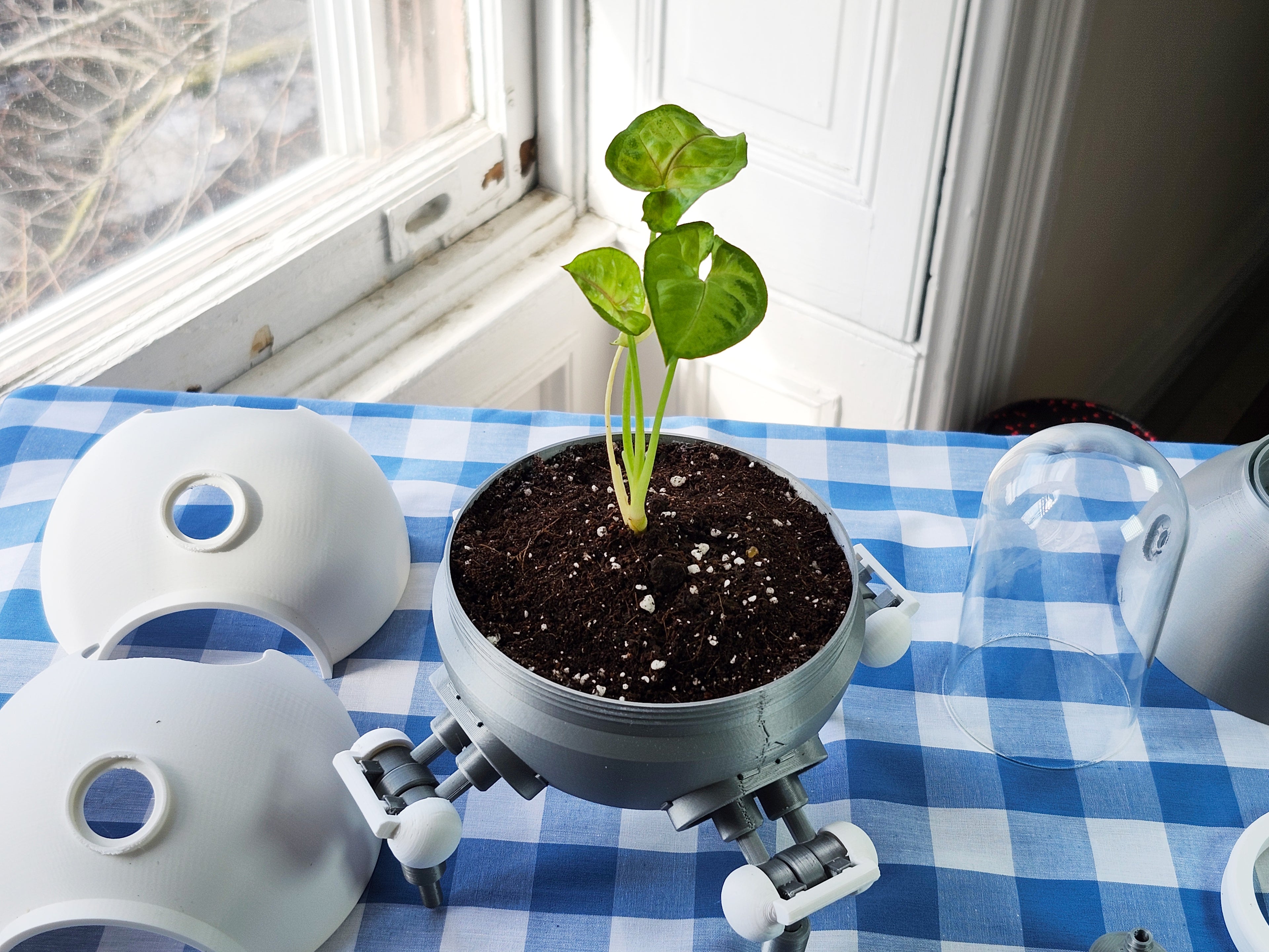 Terrarium Bot 1 Prototype